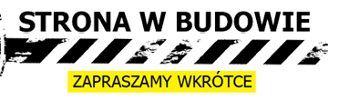 ip-agent.pl - usługi informatyczne